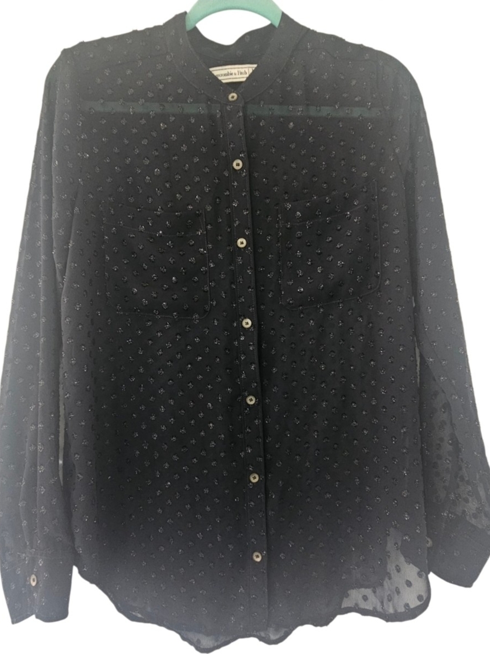 Abercrombie & Fitch sheer, textured button-down blouse.